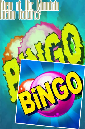 Bingo casino